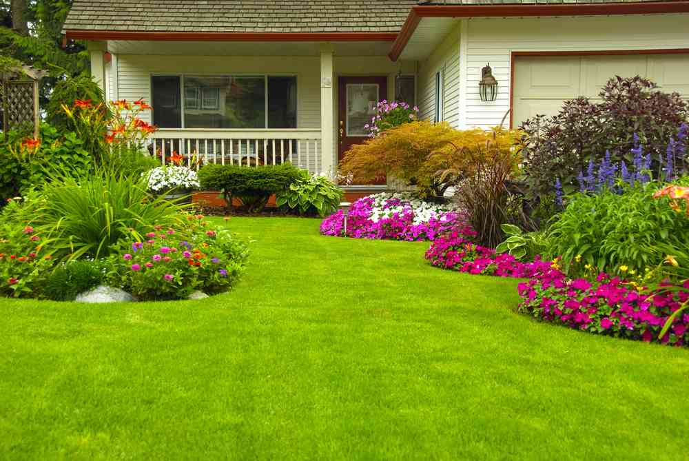 Types Of Insurance Policies For Landscaping Businesses Mind Set Travel